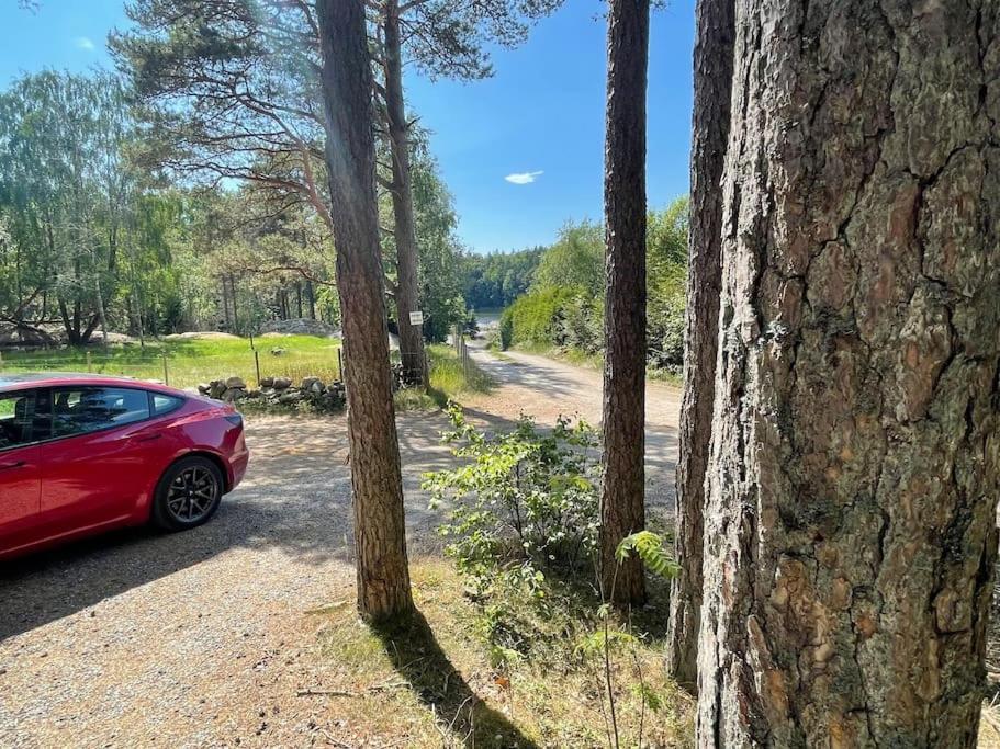 Fin Landlig Med Utsikt